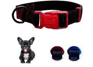 Sporn Dog ID Collar Small All In One Black Blu Waterproof Adjustable Neck 8-13”